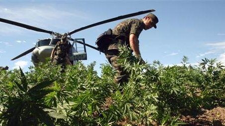 Mercenaries and Marijuana